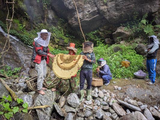 Nepalese Mad Honey
