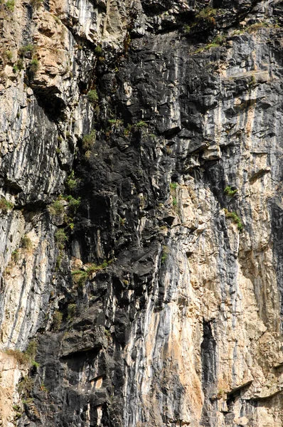 Himalayan Shilajit Resin